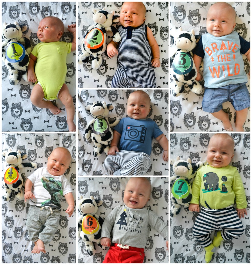 Leo7monthcollage